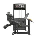 FLEXO-EXTENSION DE PIERNAS IF9328 IMPULSE