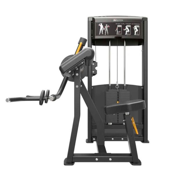 BICEPS/TRICEPS IF9333 IMPULSE
