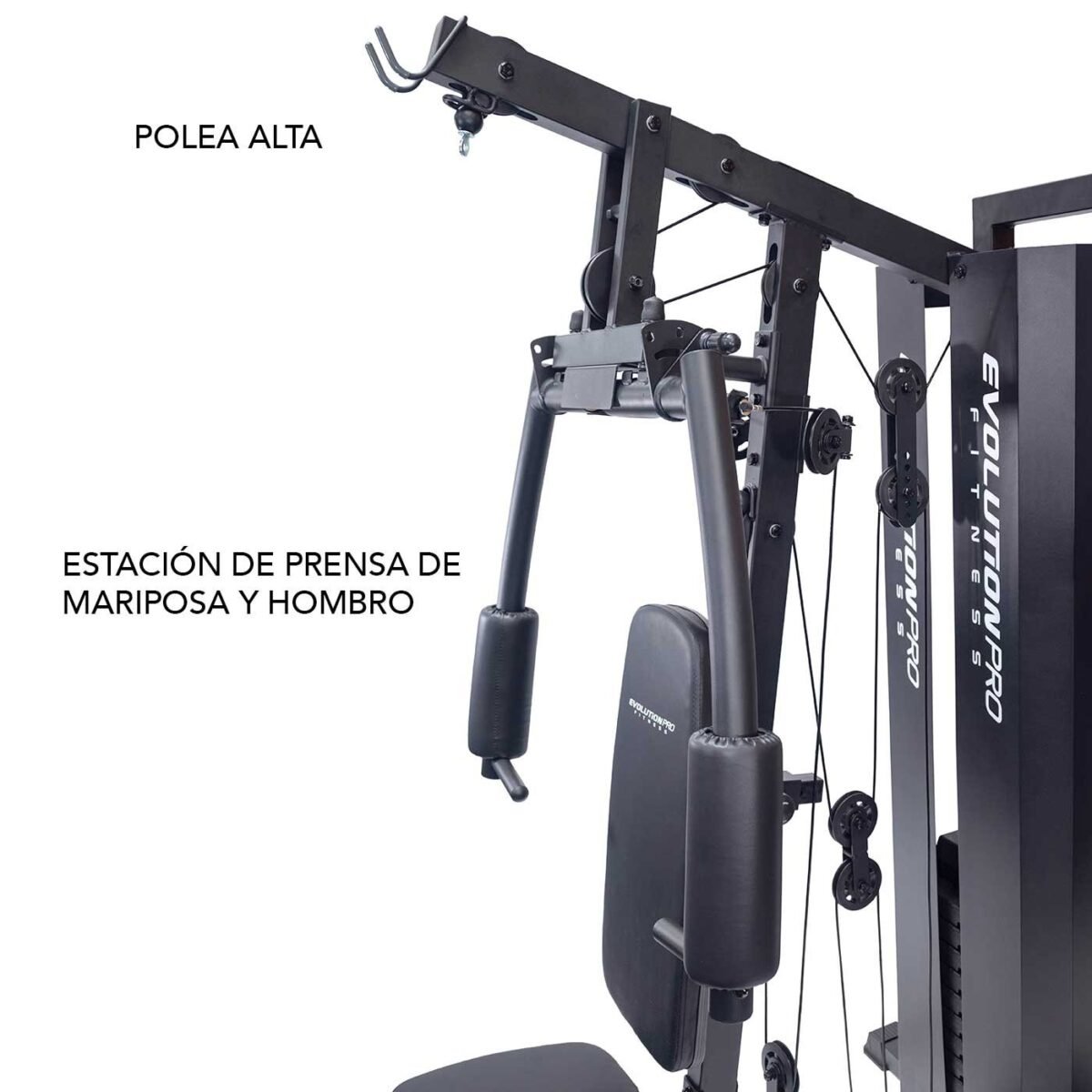 Multigimnasio EVO 3900 - Image 2
