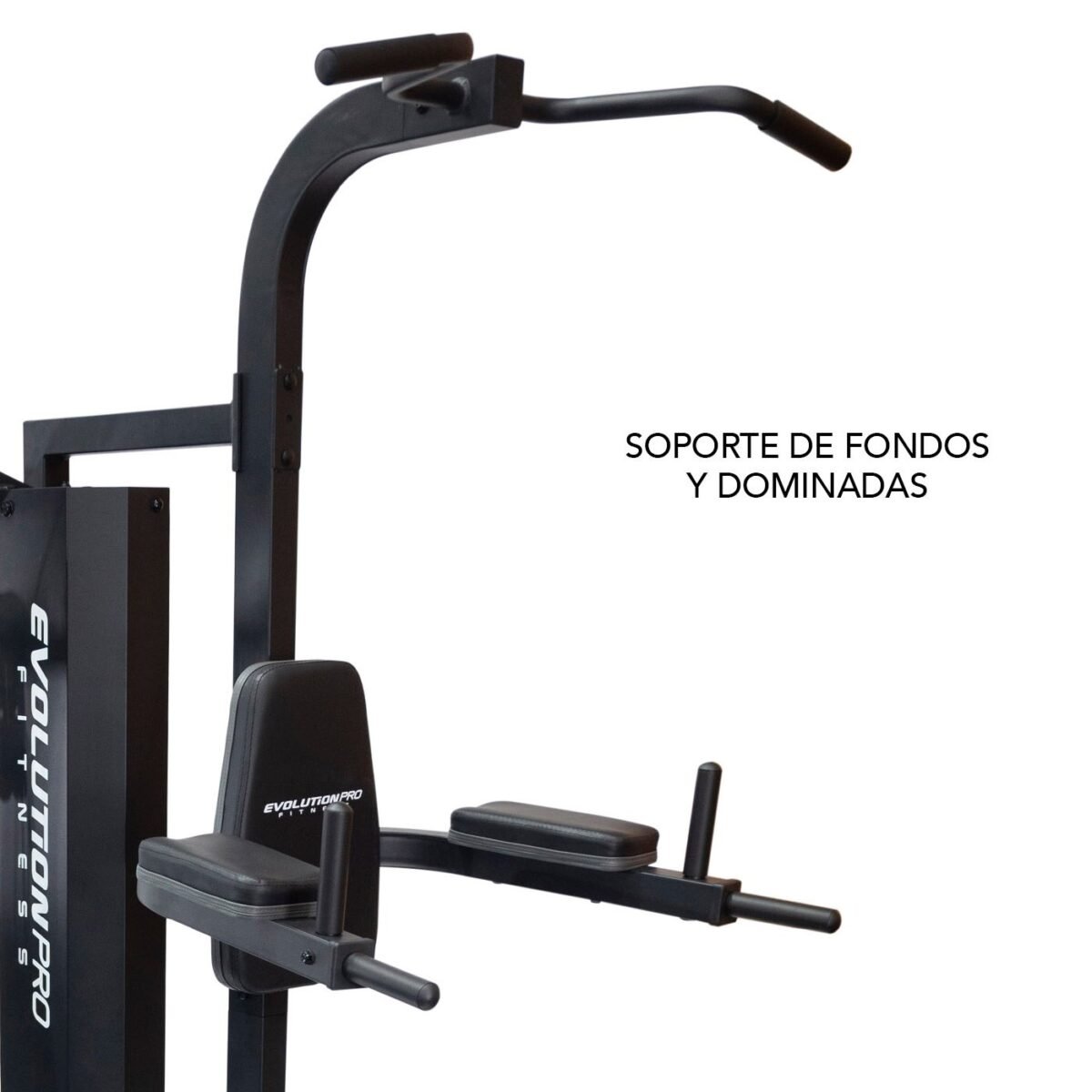Multigimnasio EVO 3900 - Image 11