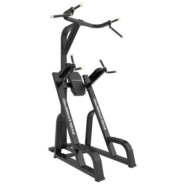 Soporte Dominadas Y Fondos EVO Pro Br