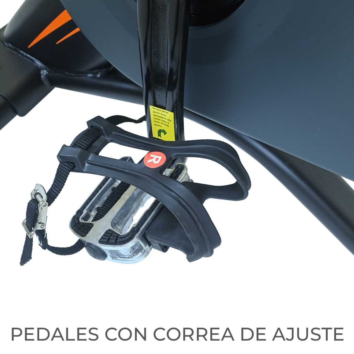 Spinning EVO Rio - Image 7
