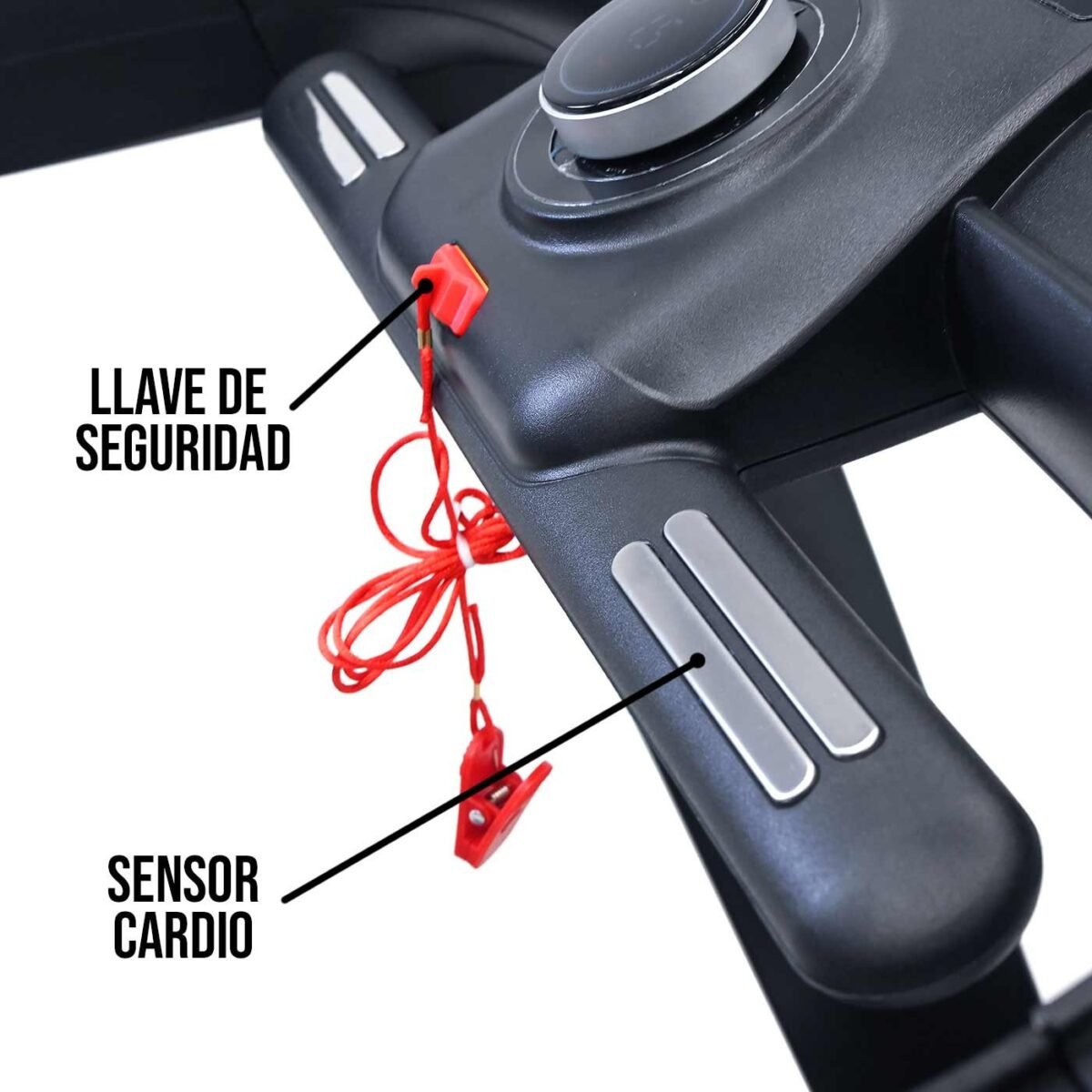 Trotadora EVO Active - Image 7