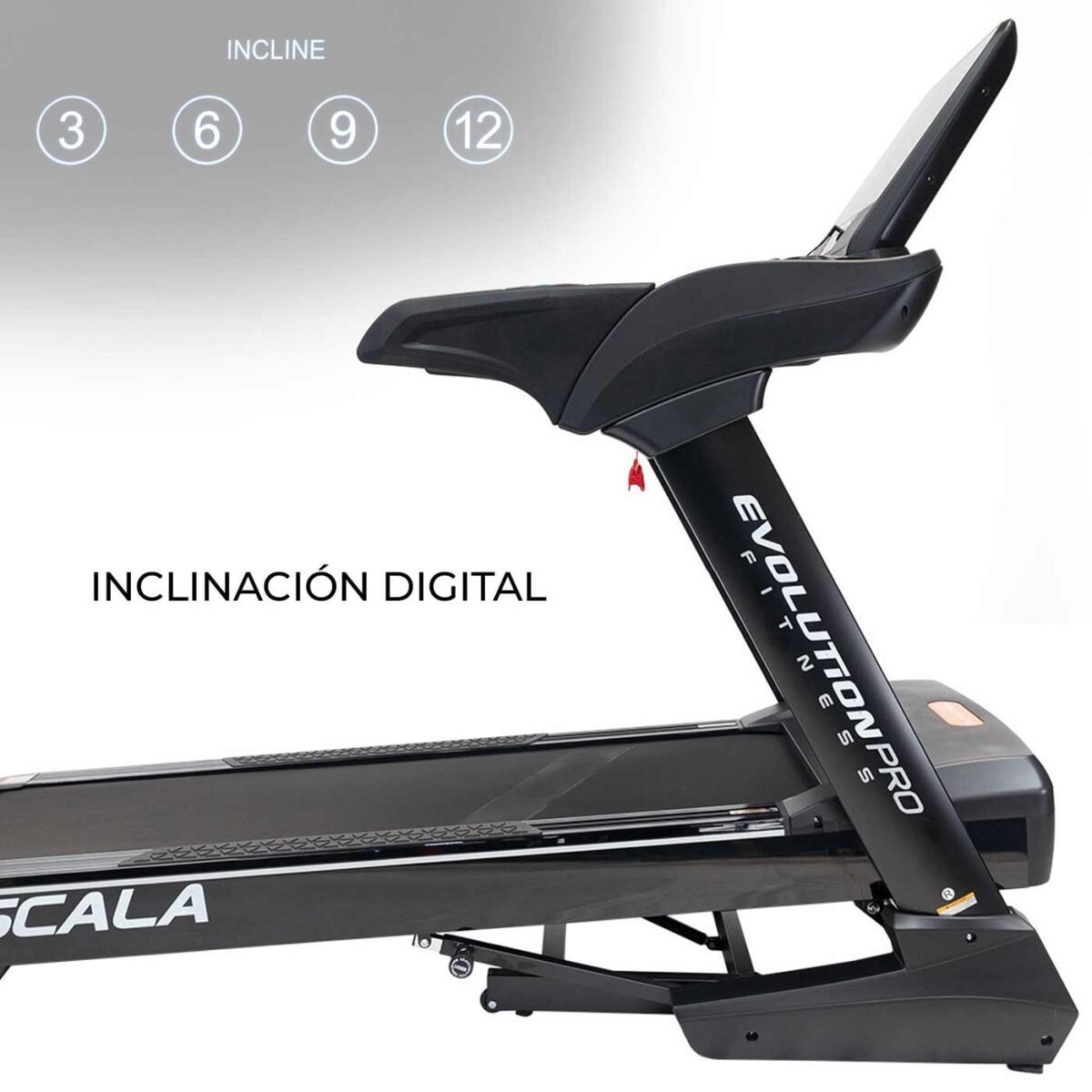 Trotadora Scala - Image 5