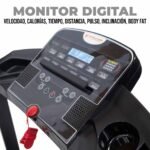 Trotadora EVO Vigor / Tolum - Image 4