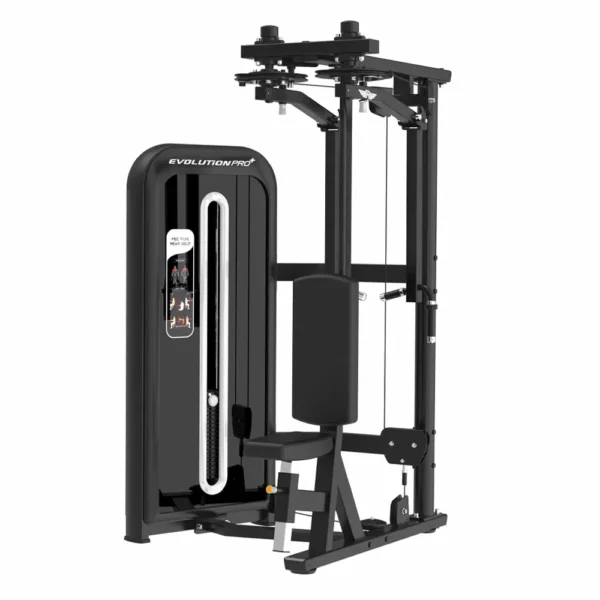 Dual Pectoral deltoides J24