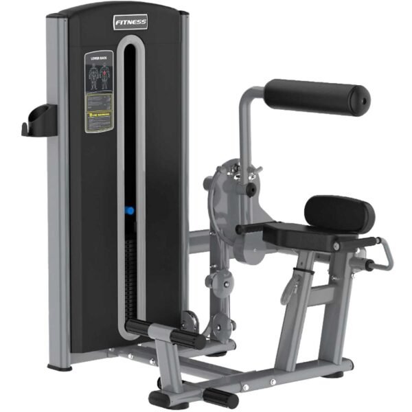 Extensión Lumbar - F16