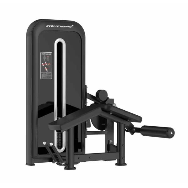 Flexión de Pierna Acostado J24