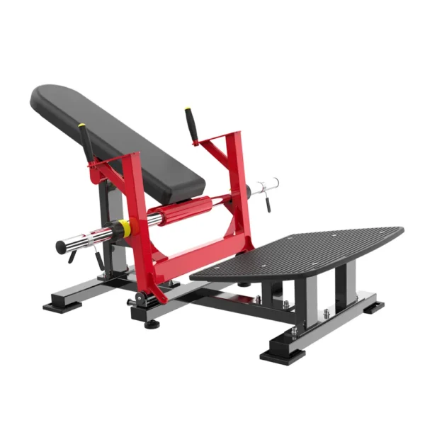 Elevación Pelvica Serie V J24