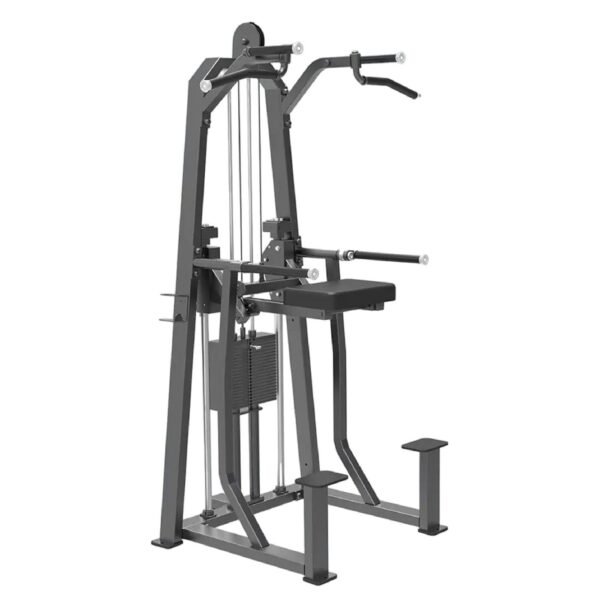 Soporte Dominadas Asistido Silver