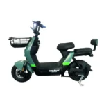 Bicicleta eléctrica Emove Terry