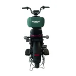 Bicicleta eléctrica Emove Terry - Image 3